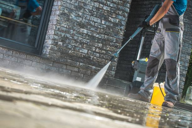 Best Soft Washing  in Ford Heights, IL