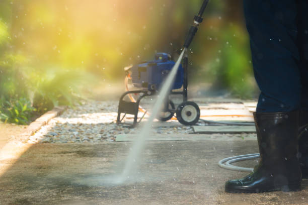 Best Animal Enclosure Cleaning  in Ford Heights, IL